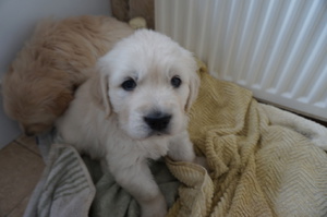 Waiting for her bath!